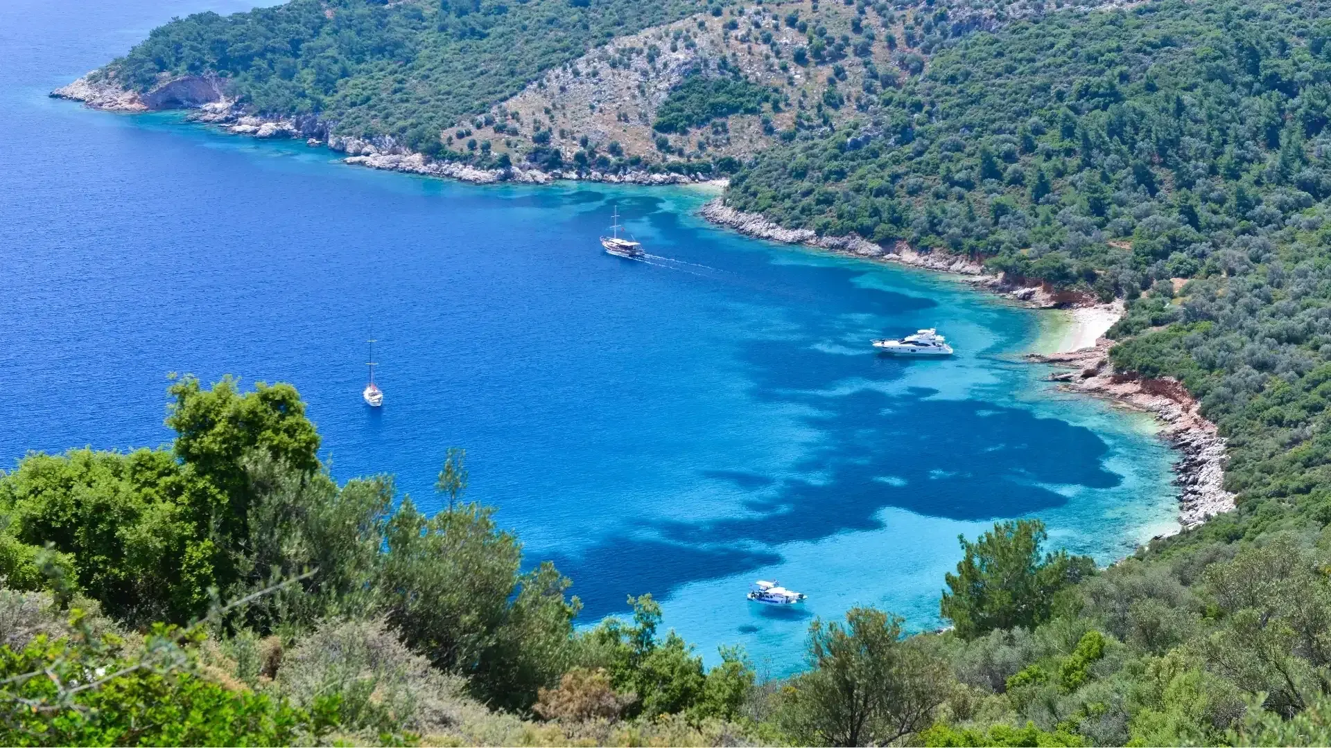 Kalkan Tekne Turu