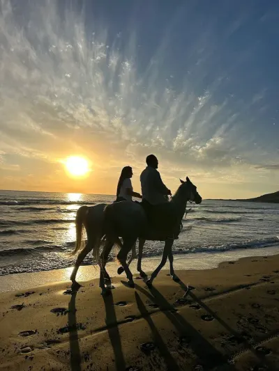Patara At Binme Turu