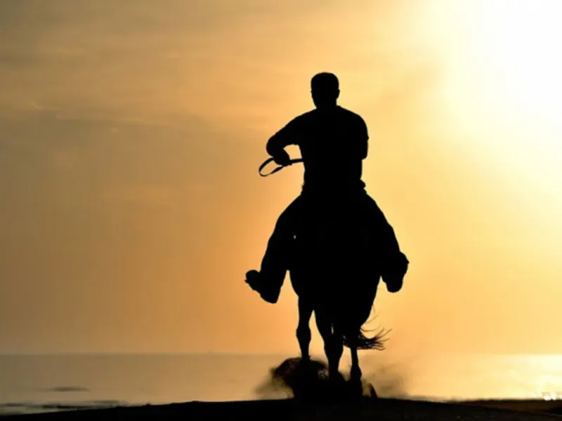 Patara Horse Riding Tour