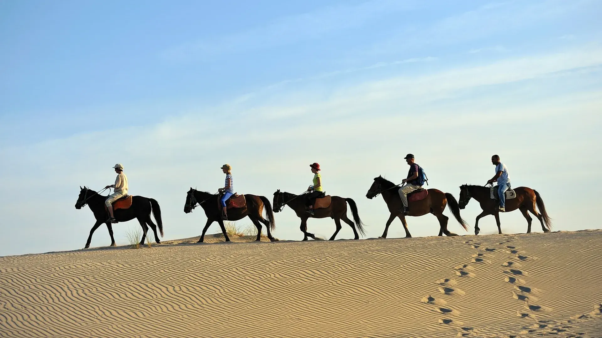 Patara At Binme Turu
